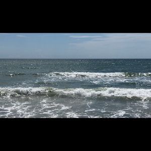 Meet your Posher, Larry